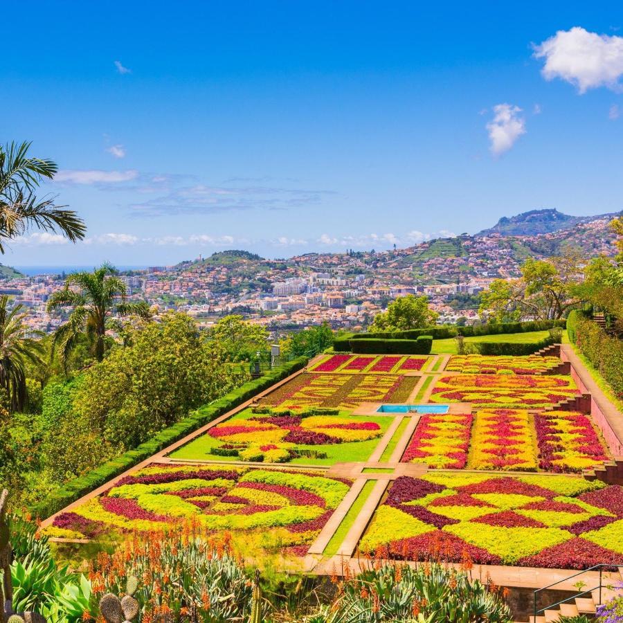 Funchal Boa Nova Apartment Εξωτερικό φωτογραφία